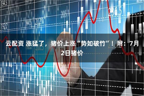 云配资 涨猛了，猪价上涨“势如破竹”！附：7月2日猪价