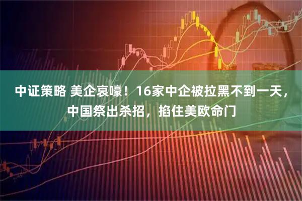 中证策略 美企哀嚎！16家中企被拉黑不到一天，中国祭出杀招，掐住美欧命门