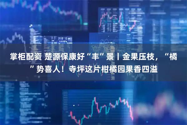 掌柜配资 楚源保康好“丰”景丨金果压枝，“橘”势喜人！寺坪这片柑橘园果香四溢