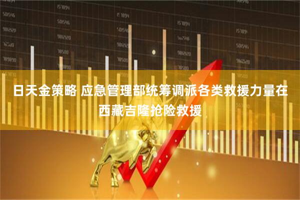 日天金策略 应急管理部统筹调派各类救援力量在西藏吉隆抢险救援
